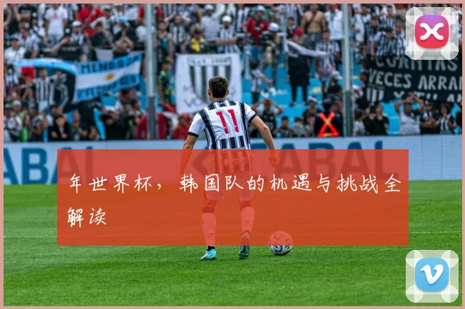 年世界杯，韩国队的机遇与挑战全解读