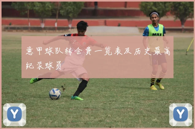 意甲球队转会费一览表及历史最高纪录球员